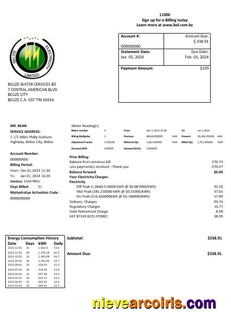 Belize Electricity Limited electricity business utility bill